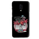Stay and Fly Printed Slim Cases and Cover for OnePlus 6T
