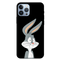 Looney rabit Printed Slim Cases and Cover for iPhone 13 Pro