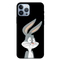 Looney rabit Printed Slim Cases and Cover for iPhone 13 Pro Max
