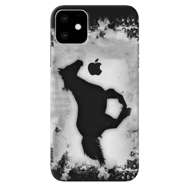 Iphone 11 Pro cases